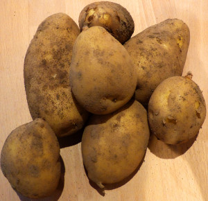 Kartoffeln1