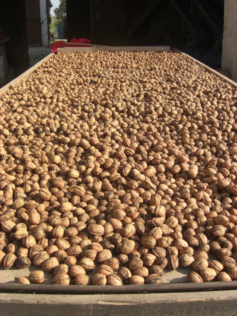 Das aktuelle Bild hat keinen Alternativtext. Der Dateiname ist: CIMG5712.jpg